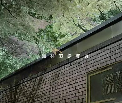 万柳书院新中式家装